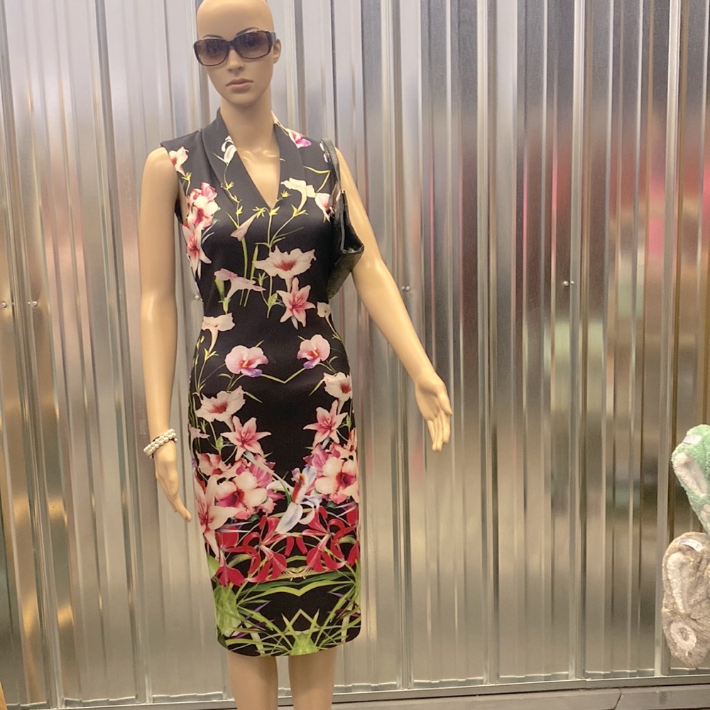 New with tags Ted Baker floral dress